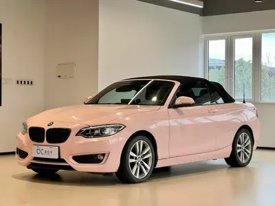 2 Series (Importé) 2015 220i Coupé décapotable Version de base