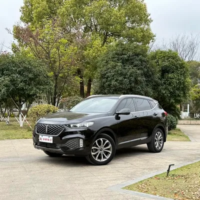 VV6 2020 2.0T Two-Drive Smart Share