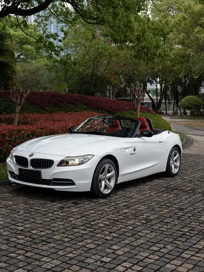 Z4 2013 sDrive20i leading type