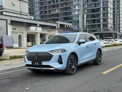 Mocha 2021 2.0T 4-wheel drive special alcohol version