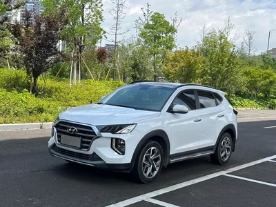 Tousheng 2019 280TGDi Dual Clutch Two-Drive Fashion Edition National VI