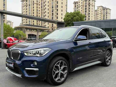 X1 2018 XDrive20Li Эксклюзивный тип