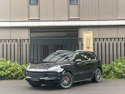 Cayenne 2022 Cayenne 3.0T Platinum Edition