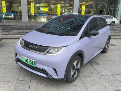 Dolphin Version mode 2023