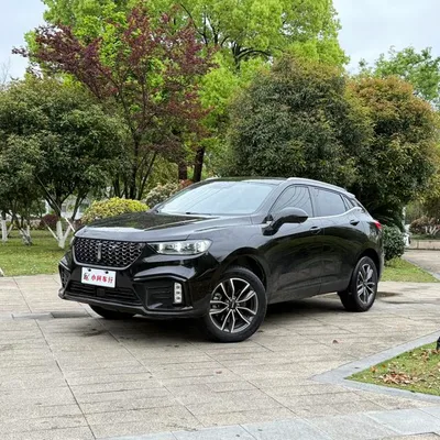 VV5 2020 1.5T Smart Pioneer