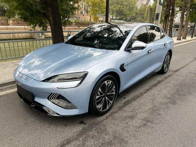 Seal 2022 550KM стандарт после автономной работы Elite Edition