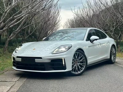 Panamera 2024 Panamera 2.9T