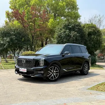 Chuanqi GS8 2022 Pilot Series 2.0TGDI Two-Drive Deluxe Zhilian Edition 7