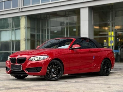 2 Series (Импорт) 2019 225i кабриолет купе спортивный дизайн набор
