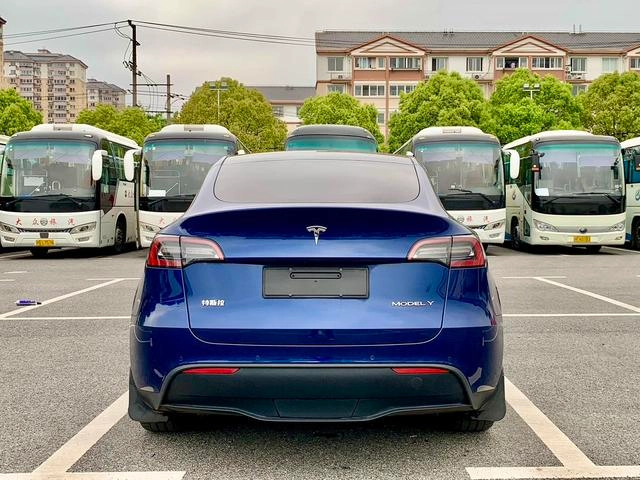 Tesla Model Y 2021 Long endurance all-wheel drive version exterior photo 6