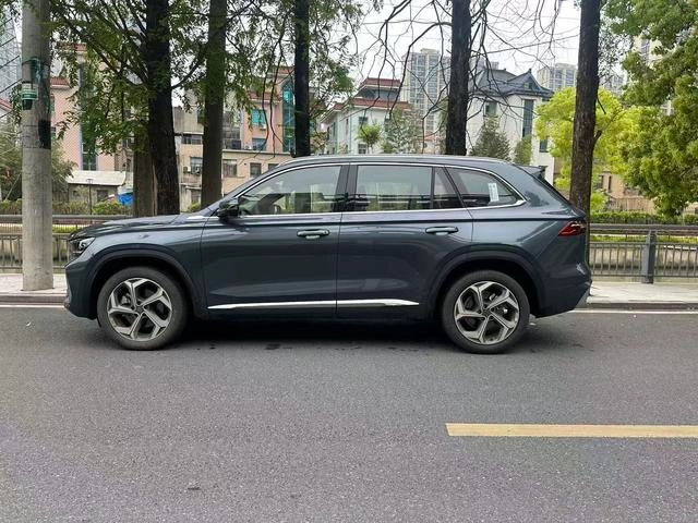 Geely Monjaro 2024 2.0TD DCT EVO Two-wheel drive Changfeng version interior photo 6