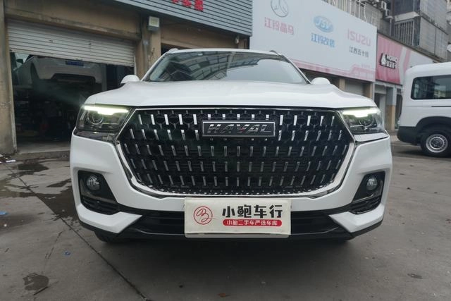 Haval Haffer H6 2021 National Tide Edition 1.5GDIT Auto Champion Edition exterior photo 2
