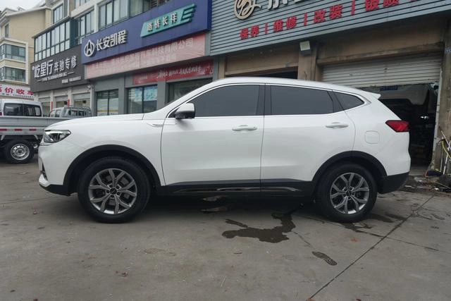 Haval Haffer H6 2021 National Tide Edition 1.5GDIT Auto Champion Edition exterior photo 3