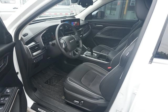 Haval Haffer H6 2021 National Tide Edition 1.5GDIT Auto Champion Edition exterior photo 4