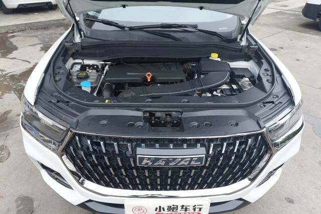 Haval Haffer H6 2021 National Tide Edition 1.5GDIT Auto Champion Edition interior photo 12