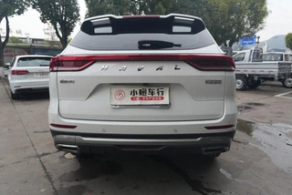 Haval Haffer H6 2021 National Tide Edition 1.5GDIT Auto Champion Edition interior photo 13