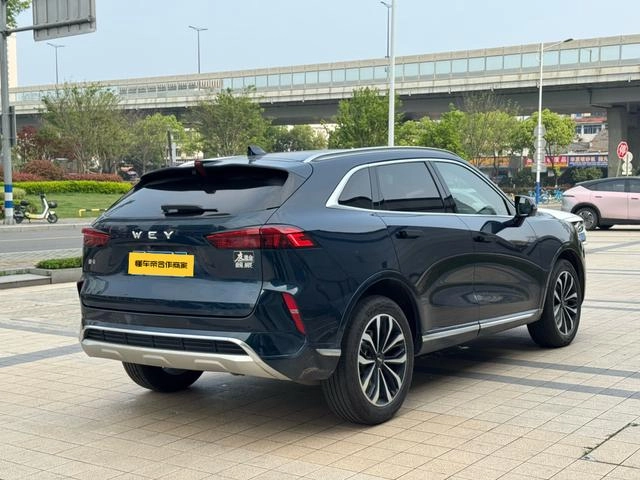 Wey Mocha 2021 2.0T Versión extra fuerte con tracción en dos ruedas interior foto 12