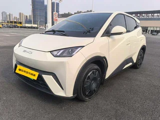 Seagull 2023 Edición de vitalidad