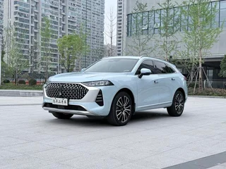 Mocha 2021 2.0T Two-drive special alcohol version