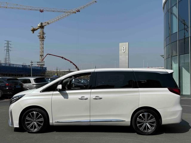 GAC Trumpchi M8 2019 320T Элитная версия интерьер фото 20 GAC Trumpchi M8 2019 320T Элитная версия интерьер фото 20