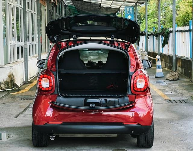 smart fortwo 2018 1.0L 52 Kilovatios 20 Edición especial de aniversario País V interior foto 14 smart fortwo 2018 1.0L 52 Kilovatios 20 Edición especial de aniversario País V interior foto 14