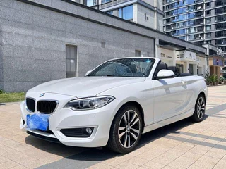 BMW 2 Series (Imported) 2015 220i Кабриолет купе Лидирующий