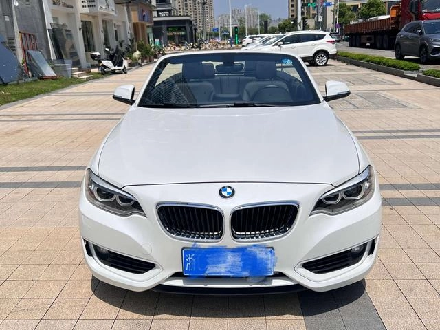 BMW 2 Series (Imported) 2015 220i Coupé convertible Tipo líder exterior foto 2