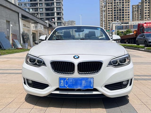 BMW 2 Series (Imported) 2015 220i Coupé convertible Tipo líder exterior foto 3