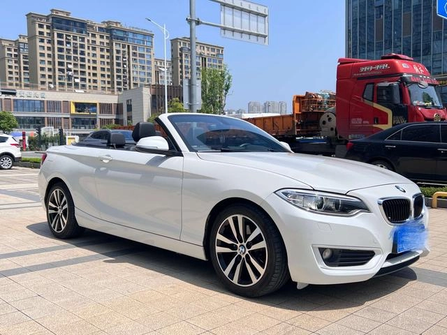 BMW 2 Series (Imported) 2015 220i Coupé convertible Tipo líder exterior foto 4