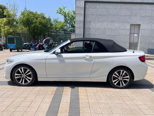 BMW 2 Series (Imported) 2015 220i Coupé convertible Tipo líder exterior foto 6