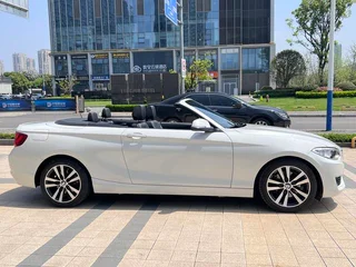BMW 2 Series (Imported) 2015 220i Coupé convertible Tipo líder exterior foto 7