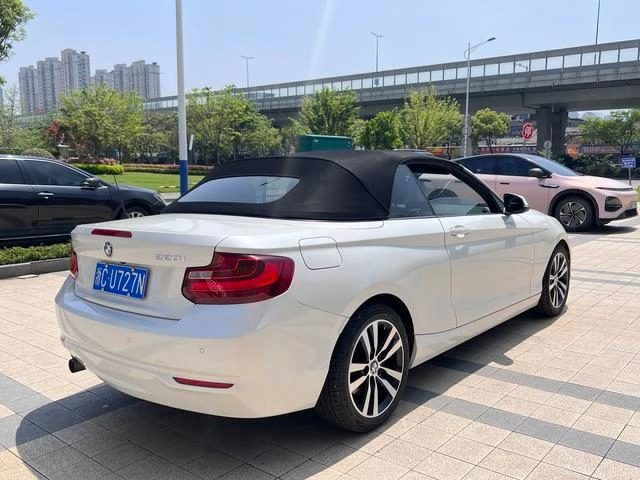 BMW 2 Series (Imported) 2015 220i Coupé convertible Tipo líder interior foto 14