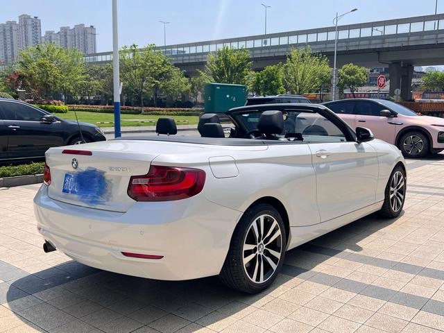 BMW 2 Series (Imported) 2015 220i Coupé convertible Tipo líder interior foto 16