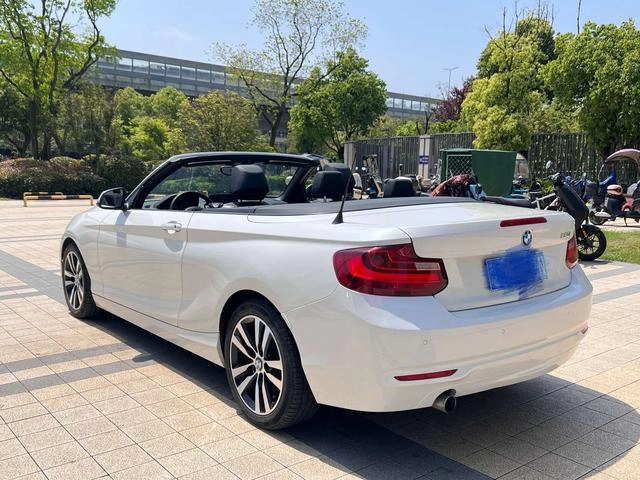 BMW 2 Series (Imported) 2015 220i Coupé convertible Tipo líder interior foto 17