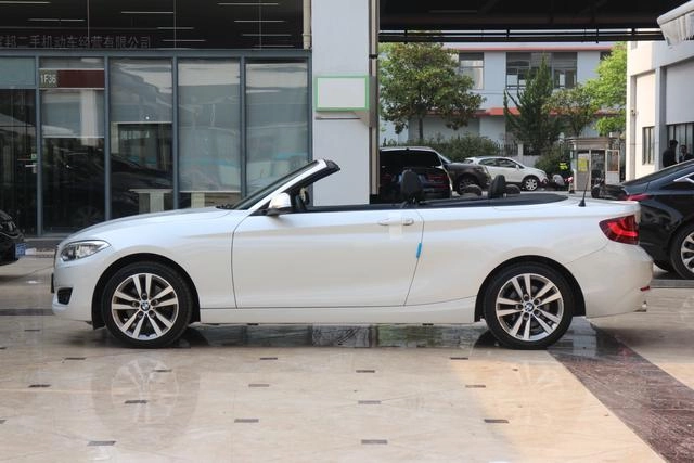 BMW 2 Series (Imported) 2015 220i Coupé cabriolet Type de leader extérieur photo 4
