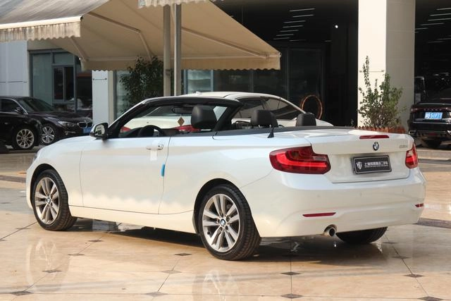 BMW 2 Series (Imported) 2015 220i Coupé cabriolet Type de leader intérieur photo 14