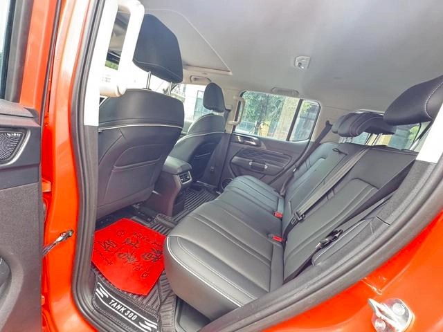 Tank 300 2023 Edición de la ciudad 2.0T Muy elegante interior foto 10