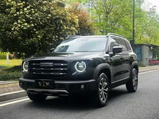 Haval Big Dog 2022 1.5T Two-wheel drive Border Pastoral Edition