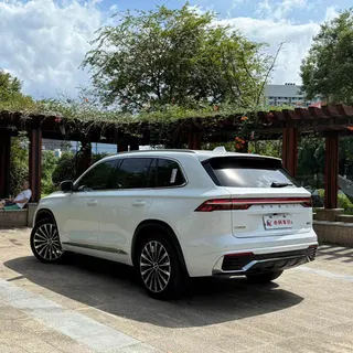 Geely Monjaro 2025 2.0TD Gaogong automatique à deux roues motrices Dongfang Yao remporte la version étoile extérieur photo 8