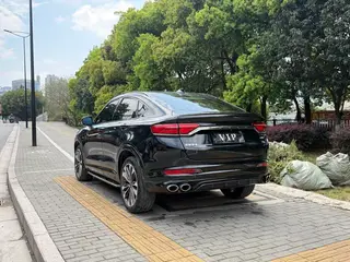 Geely Xingyue 2020 High-energy version 350T Star Control exterior photo 8
