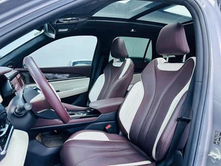 Geely Monjaro 2021 2.0TD DCT EVO Two-wheel-drive Zhizun type interior photo 10