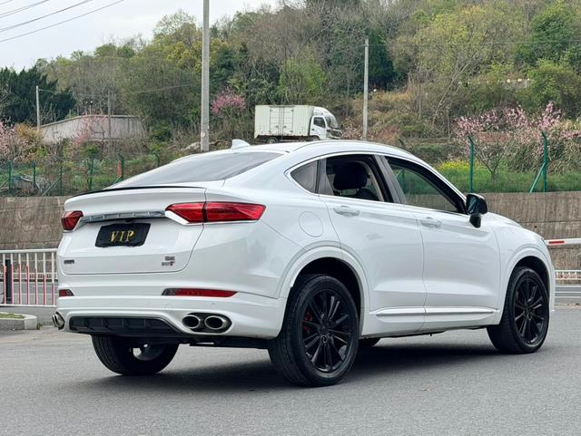 Geely Xingyue 2020 High-energy version 350T Shining Star exterior photo 4