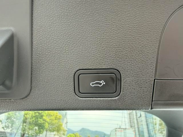 Geely Xingyue 2020 High-energy version 350T Shining Star interior photo 18