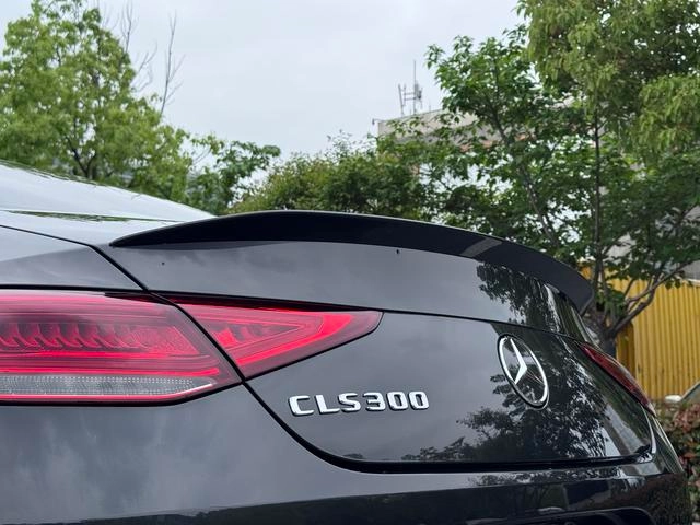 Mercedes-Benz CLS 2022 CLS 300 Люксовый интерьер фото 19 Mercedes-Benz CLS 2022 CLS 300 Люксовый интерьер фото 19