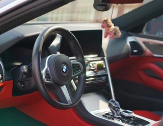 BMW 8 Series 2022 840i Four-door coupe M Sports suit interior photo 9