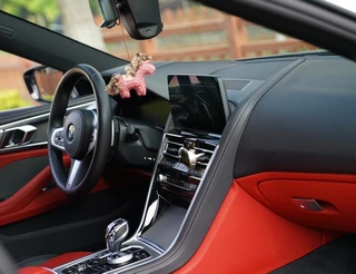BMW 8 Series 2022 840i Four-door coupe M Sports suit interior photo 13