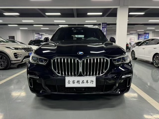 BMW X5 2022 Restyling xDrive 40Li Premium Class M Sports suit exterior photo 2