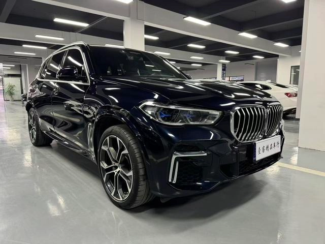 BMW X5 2022 Restyling xDrive 40Li Premium Class M Sports suit exterior photo 3