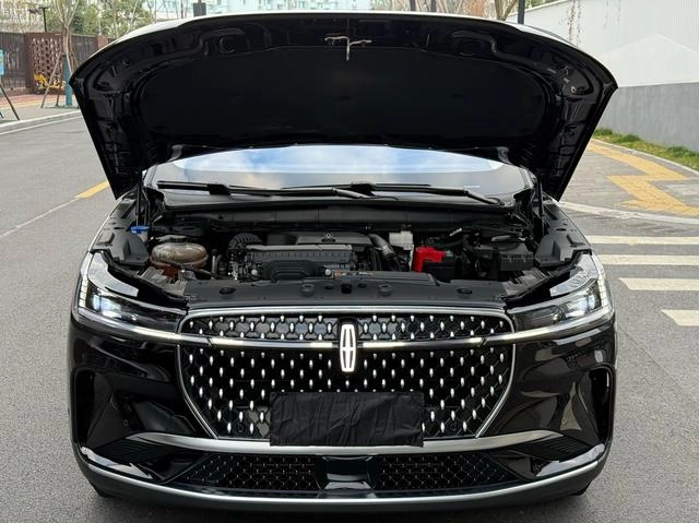Lincoln Nautilus 2023 2.0T Four-wheel drive Zunyi Edition interior photo 20