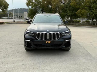 BMW X5 2022 Restyling xDrive 40Li Premium Class M Sports suit exterior photo 2
